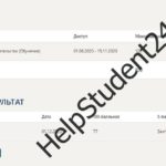 Основыпредпринимательства
