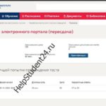 Разработка электронного портала