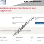 разработкаинтерактивныхприложенийдляweb сайта