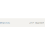 Эксплутационная практика Синергия