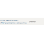 Практика производственная Синергия