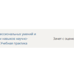 Практика синергии готовая работа