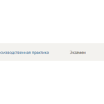 Практика Синергия 3 семестр