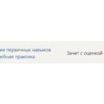 Научно-исследовательская работа (получение первичных навыков научно-исследовательской работы)- Синергия