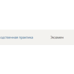 Педагогическая практика- Синергия на 90 баллов