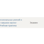 Практика по получению первичных профессиональных умений и навыков, в том числе первичных умений и навыков - Синергия