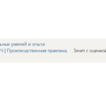 Практика по получению профессиональных умений и опыта профессиональной деятельности- Синергия