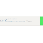 Практика по получению профессиональных умений и опыта профессиональной деятельности - Синергия