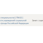 Производственная практика (по профилю специальности) ПМ.02 - Синергия
