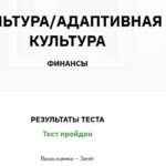 Физическая культура Адаптивная физическая культура- Финансы