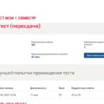 Философия. Итоговый тест
