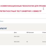 Информационно-коммуникационные технологии для профессиональной деятельности. Итоговый и компетентностный тесты