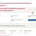 Иностранный язык в профессиональной деятельности