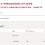 Иностранный язык в профессиональной сфере. Итоговый и компетентностный тесты