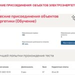 Технологические присоединения объектов электроэнергетики