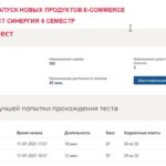 Создание и запуск новых продуктов E-commerce
