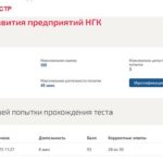 Стратегия развития предприятий НГК