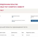 Этническое предпринимательство. Промежуточные (1-4), итоговый тесты.
