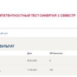 Философия. Итоговый и компетентностный тесты
