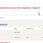 Информатика. Итоговый и компетентностный тесты
