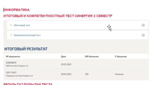 Информатика. Итоговый и компетентностный тесты