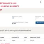 Лоббистская деятельность НКО