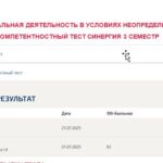 Профессиональная деятельность в условиях неопределенности. Итоговый и компетентностный тест