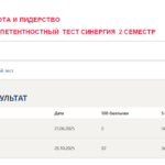 Командная работа и лидерство. Итоговый и компетентностный тесты