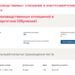 Основы производственных отношений в электроэнергетике