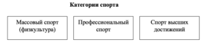 Физическая культура и спорт тест 1-4 итоговый и компетентностный тест