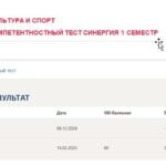 Физическая культура и спорт. Итоговый и компетентностный тесты