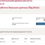 Системы обработки больших данных (Big data)