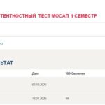 История России, итоговый и компетентностный тесты
