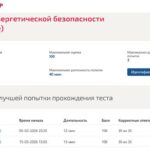 Основы энергетической безопасности
