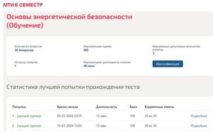 Основы энергетической безопасности