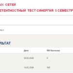 Основы нейронных сетей, итоговый и компетентностный тест