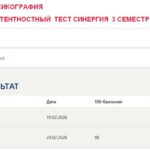 Современная лексикография, итоговый и компетентностный тест
