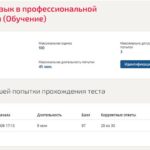 Иностранный язык в профессиональной деятельности