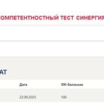 История России, тест 1-7 итоговый и компетентностный тест