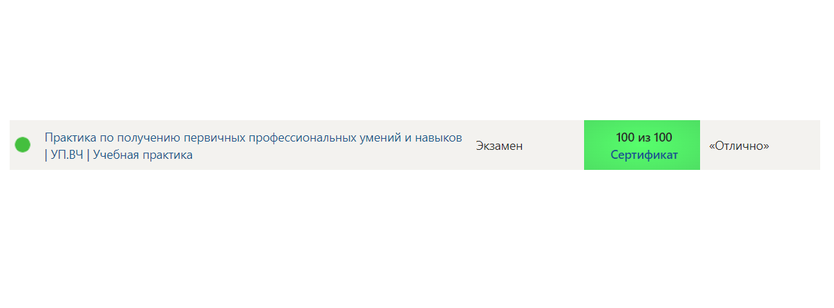 Практика Синергия учебная