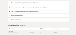 Безопасность жизнедеятельности- Синергия