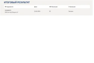 Управление проектами. 1 семестр. МОИ (МТИ) Управление проектами