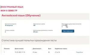 Иностранный язык. 5 семестр. МОИ (МТИ) Иностранный язык