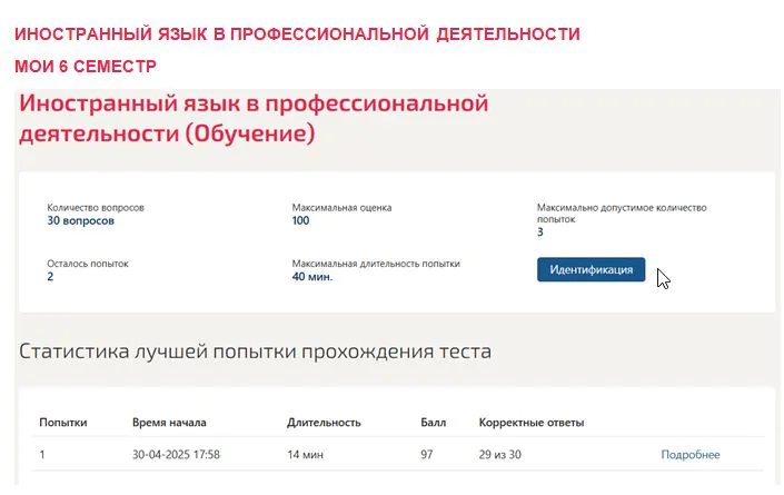 Иностранный язык в профессиональной деятельности