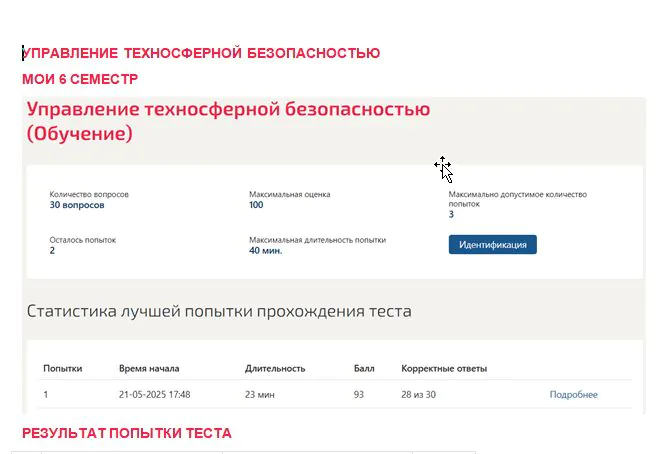 Управление техносферной безопасностью