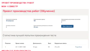 Проект производства работ. 1 семестр. МОИ (МТИ) Проект производства работ