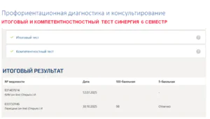 Профориентационная диагностика и консультирование. Итоговый и компетентностный тесты
