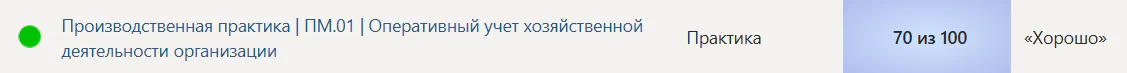 Производственная практика ПМ.01 Оперативный учет хозяйственной деятельности организации